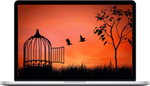 Mark Tyrrell – Abusive Relationship